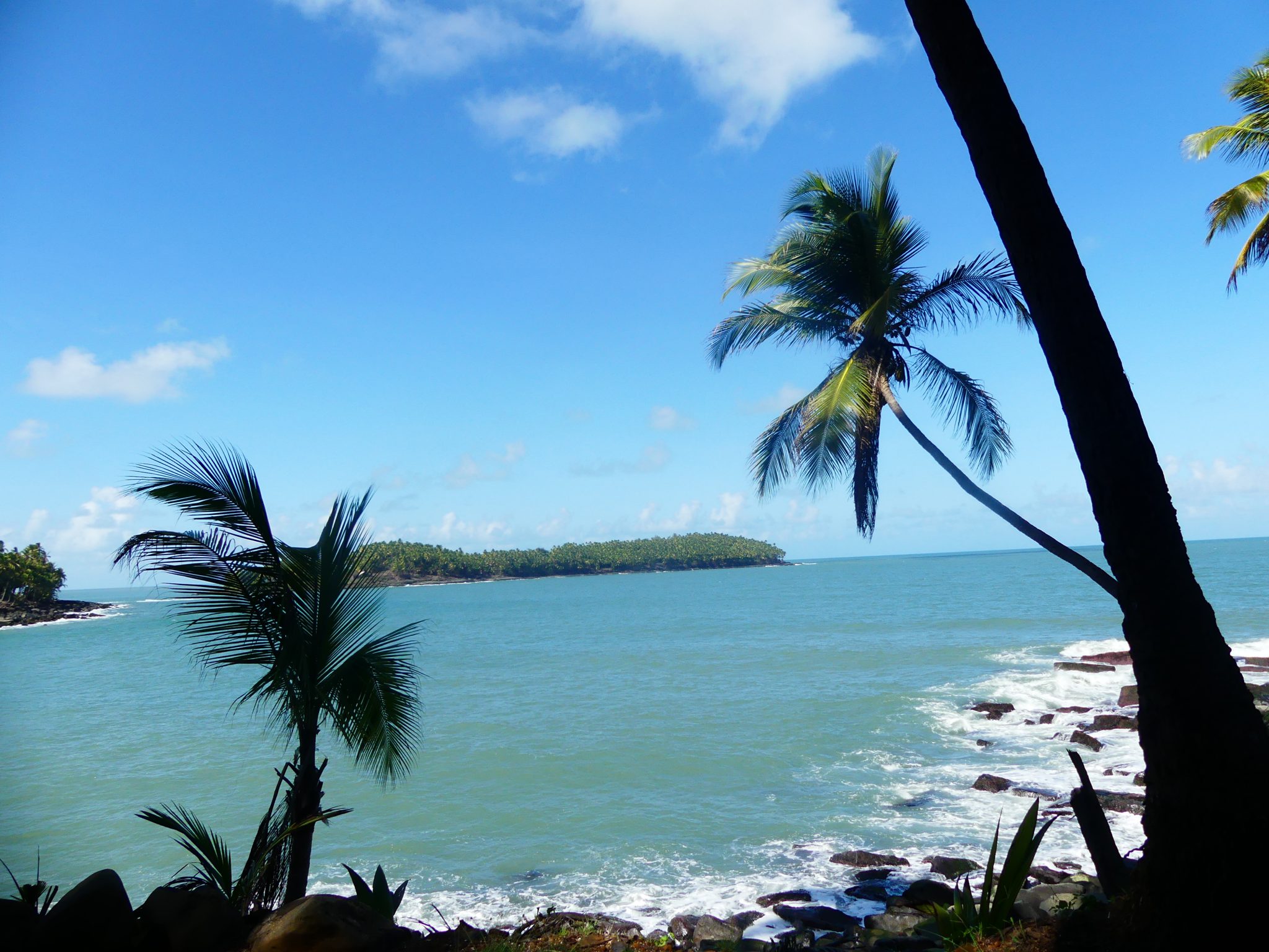 p1010561 (2)