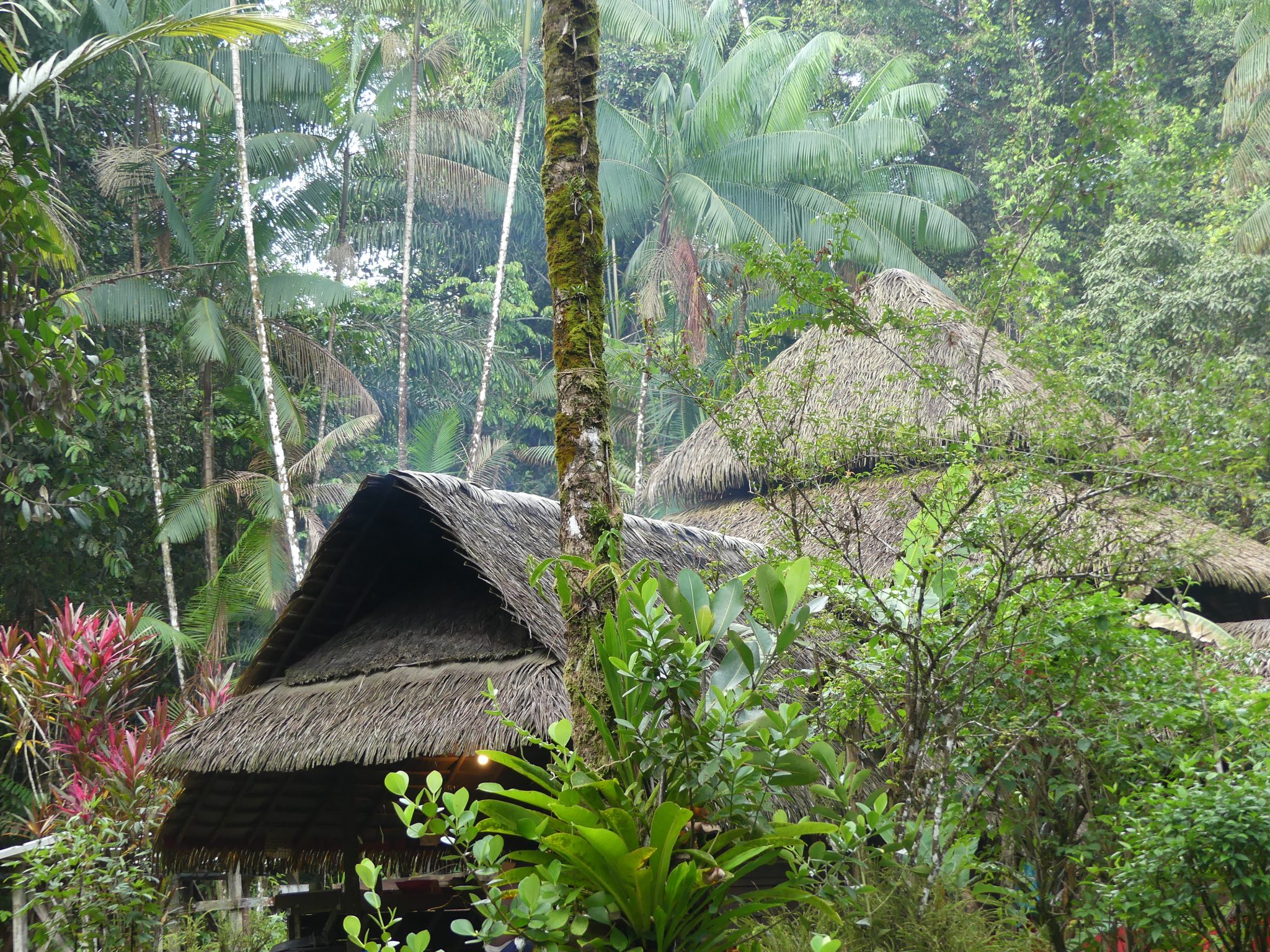 bucolique