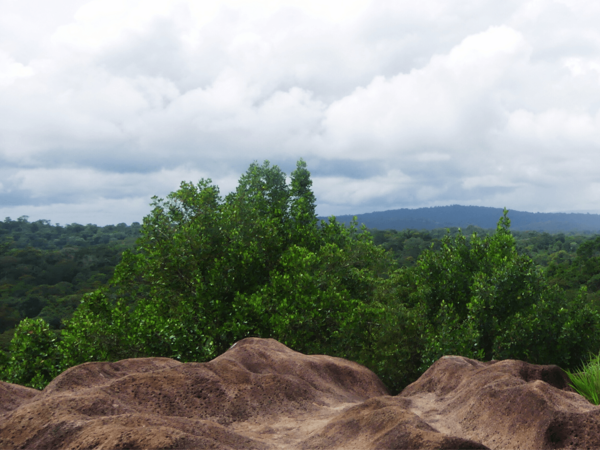 inselberg savane roche