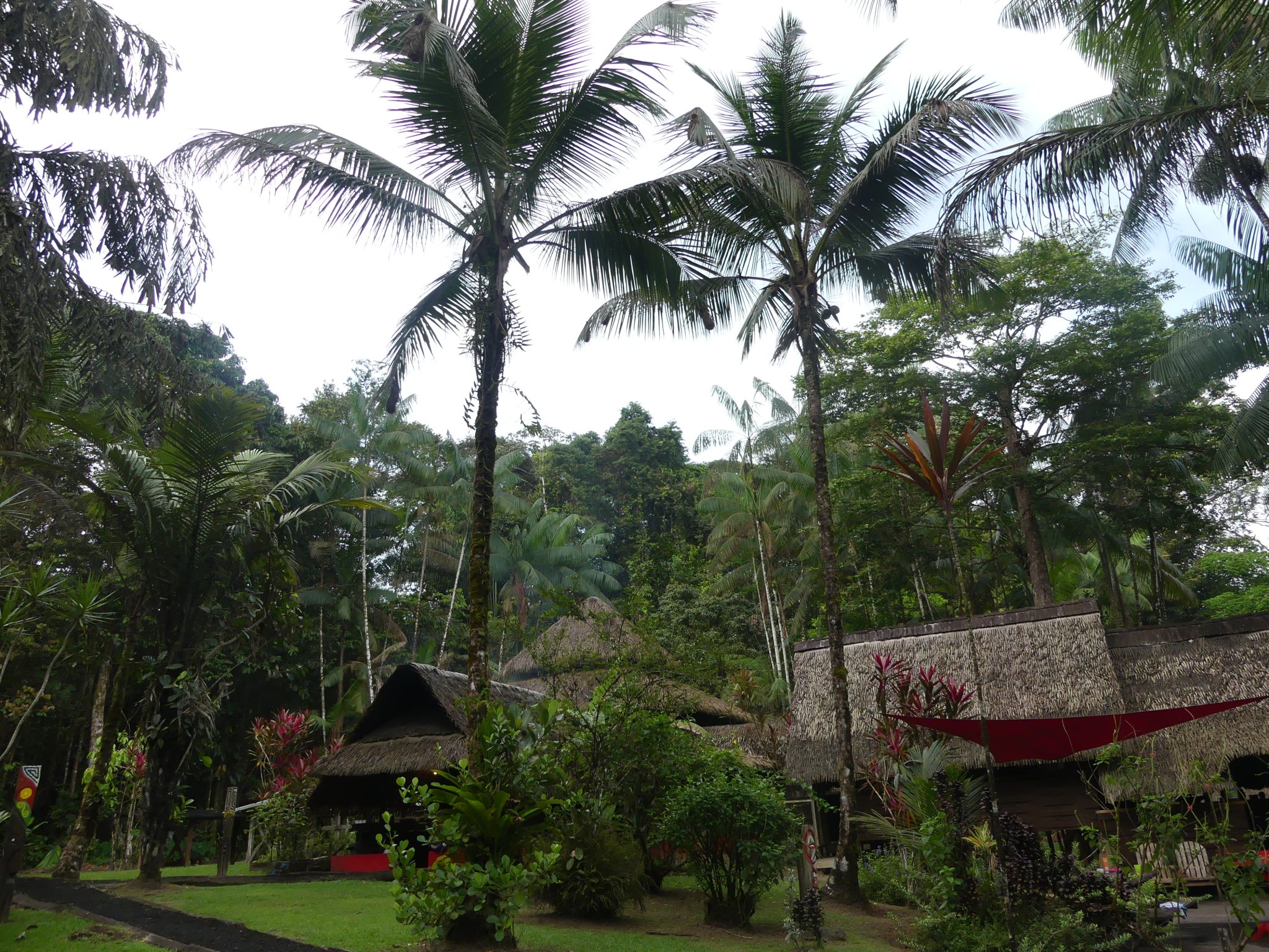 p1000538