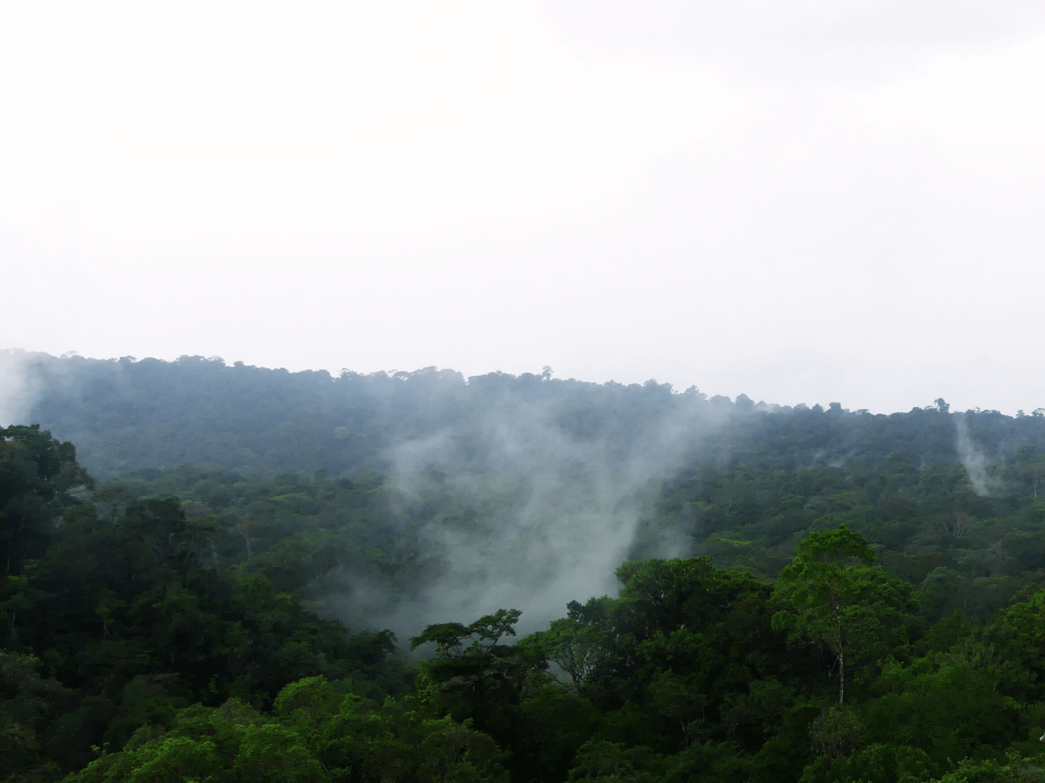 savane roche virginie (1)