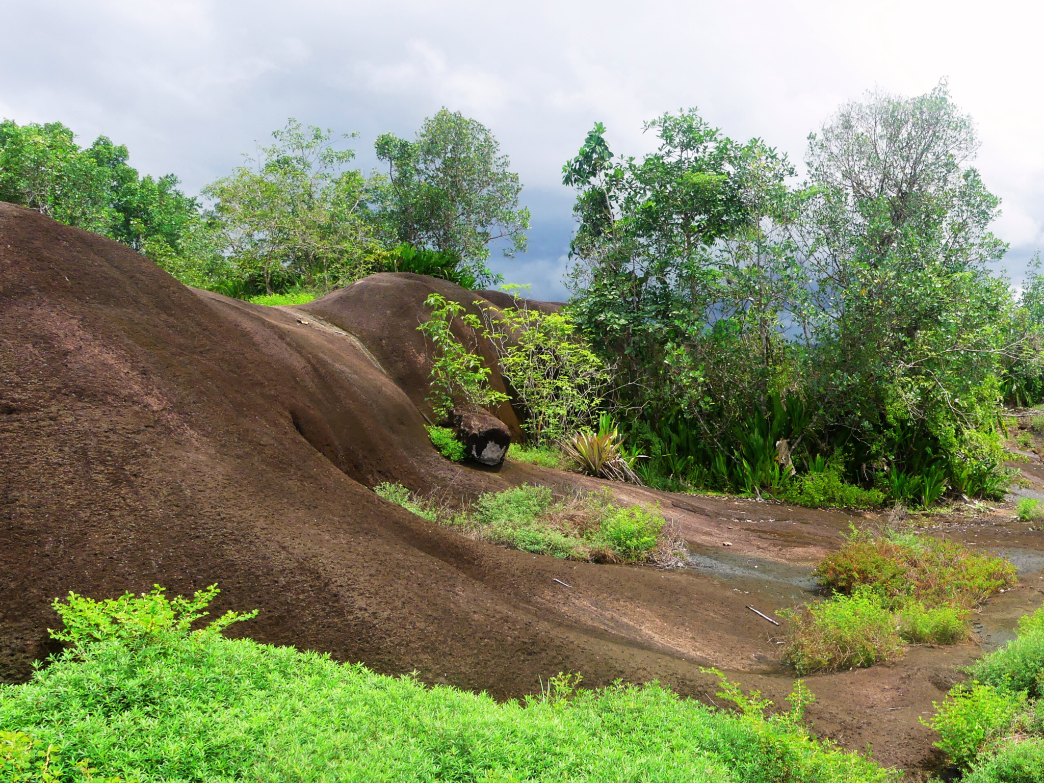 savane roche virgnie (3)